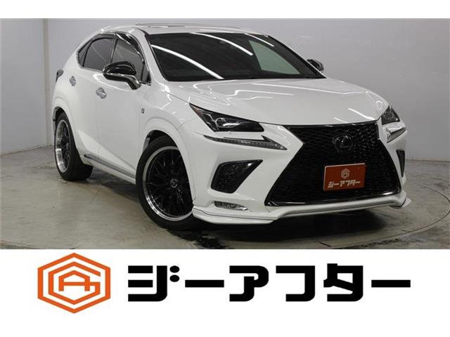 2018 Lexus NX