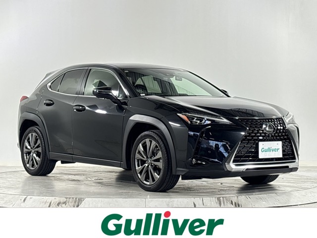 2021 Lexus UX