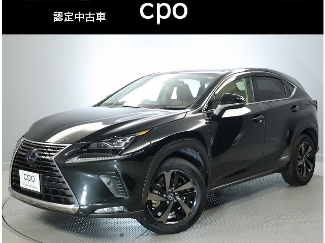 Lexus NX 1