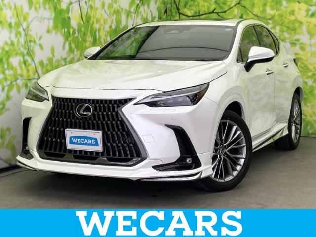 2024 Lexus NX