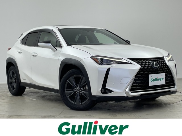 2019 Lexus UX