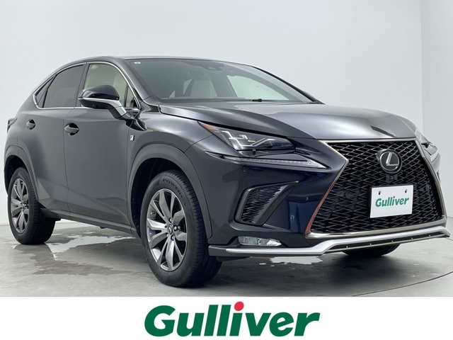 Lexus NX 1