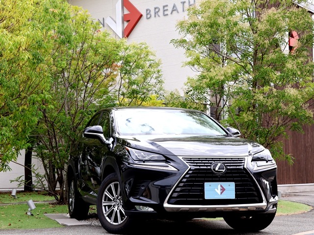 2018 Lexus NX