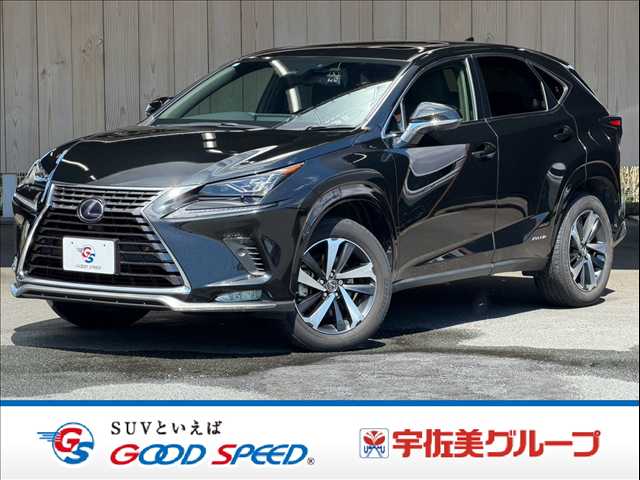 Lexus NX 1