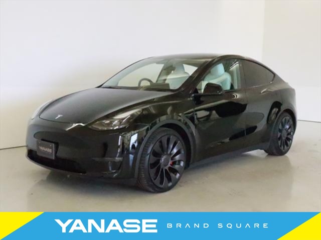 Tesla Model Y 1