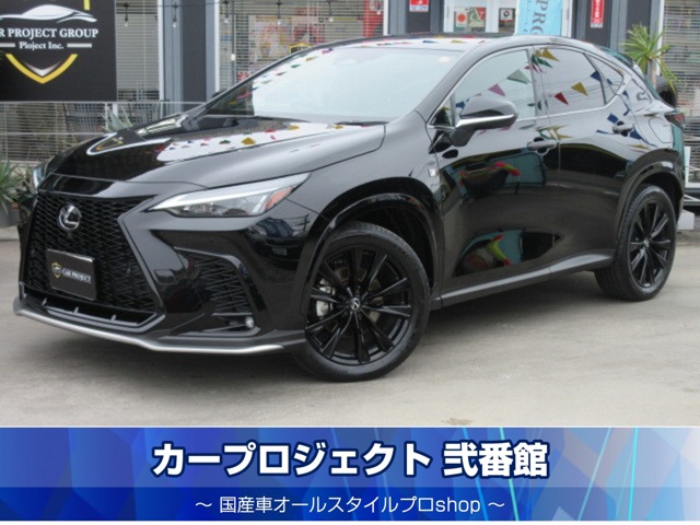 Lexus NX 1
