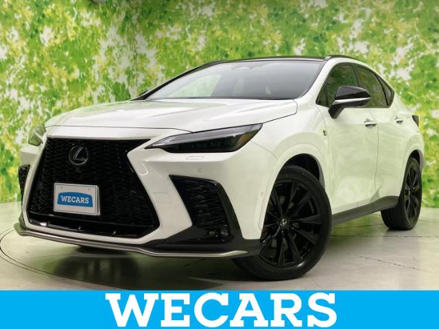 Lexus NX 1