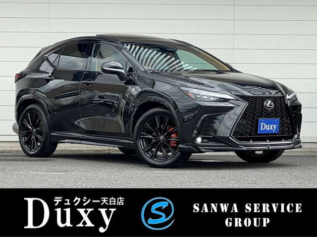 Lexus NX 1