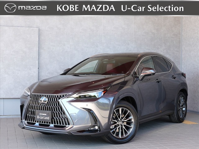 2025 Lexus NX