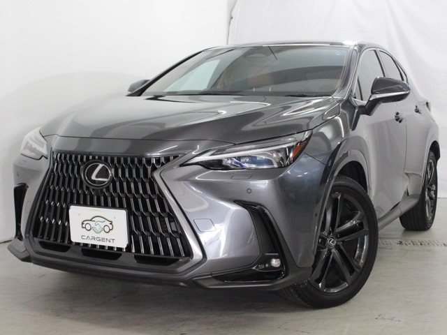 Lexus NX 1