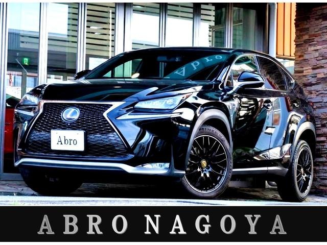 Lexus NX 1