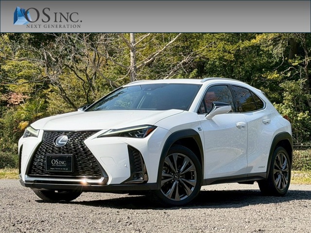 Lexus UX 1
