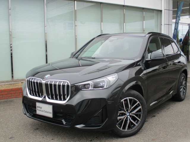 BMW X1 1