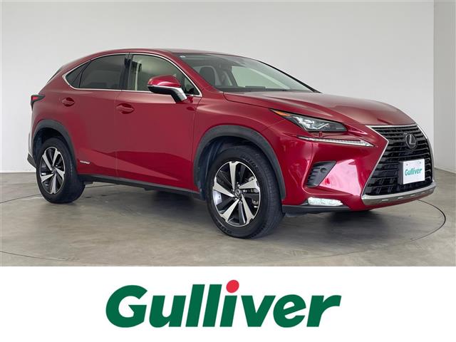 Lexus NX 1