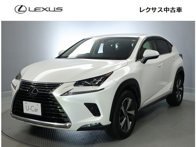 Lexus NX 1
