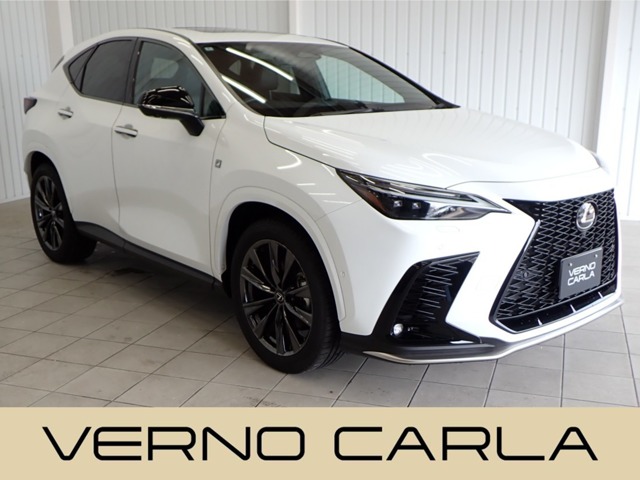 Lexus NX 1