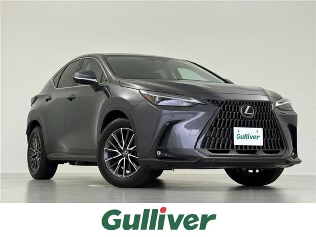 Lexus NX 1