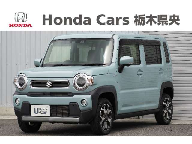 Suzuki Hustler 1