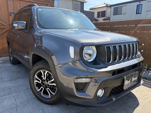 2019 Jeep Renegade