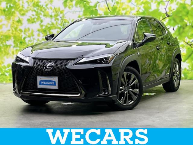 2021 Lexus UX