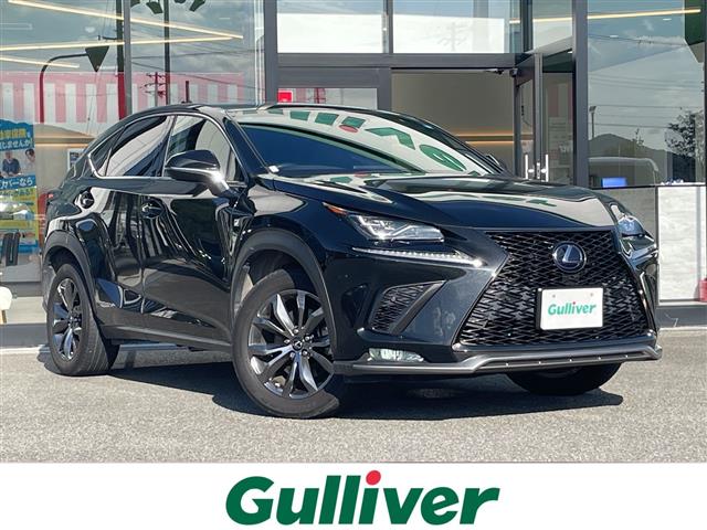 Lexus NX 1