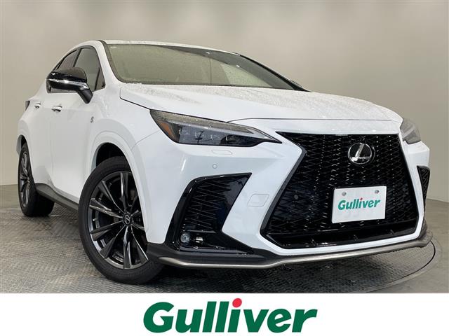 Lexus NX 1