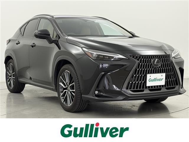 Lexus NX 1
