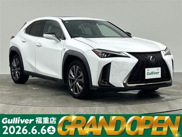 2019 Lexus UX
