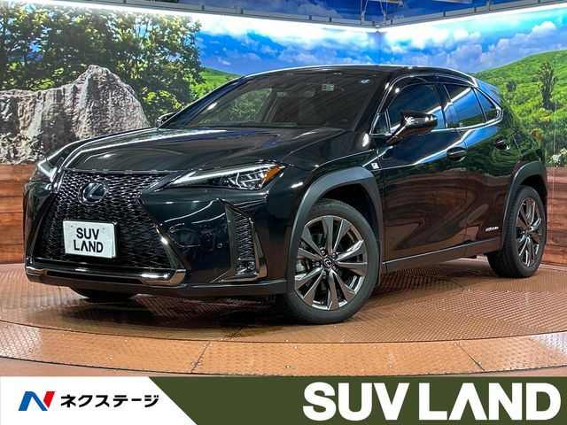 2019 Lexus UX