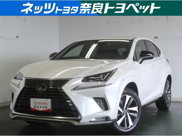 Lexus NX 1