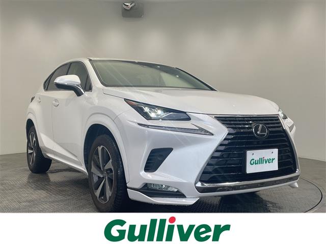 Lexus NX 1