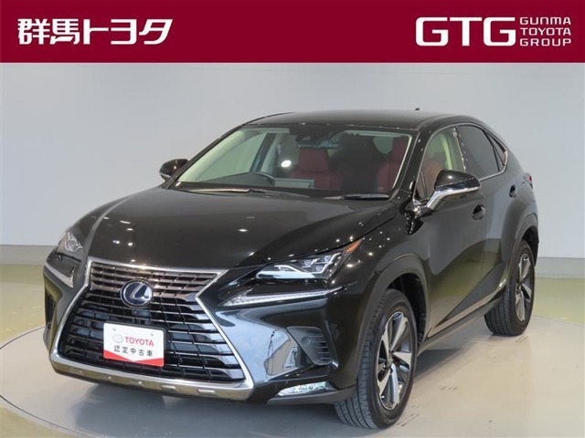 2020 Lexus NX