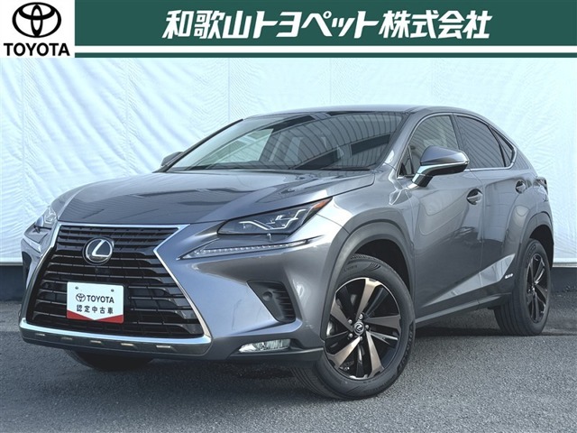 2020 Lexus NX
