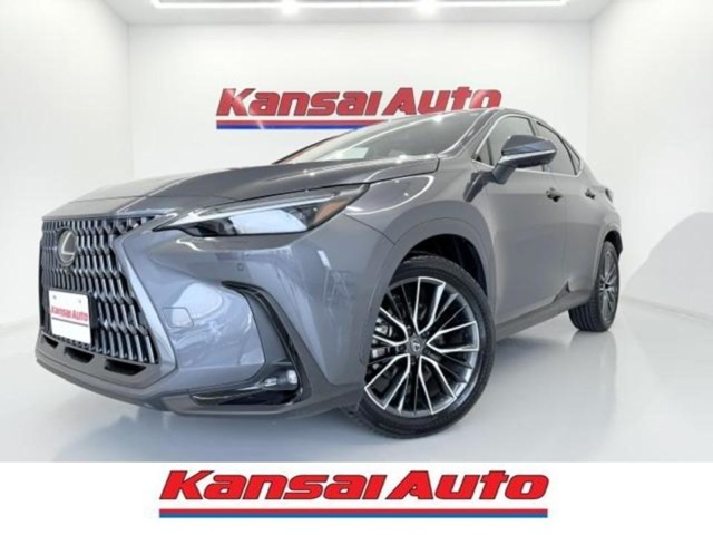 2025 Lexus NX