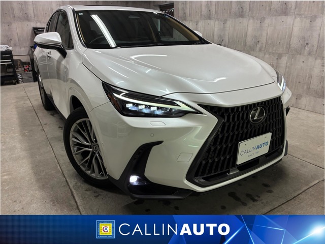 2024 Lexus NX