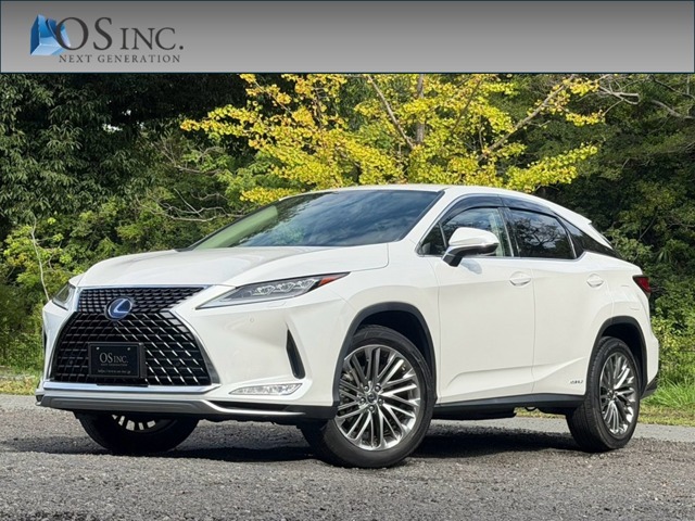 2021 Lexus RX