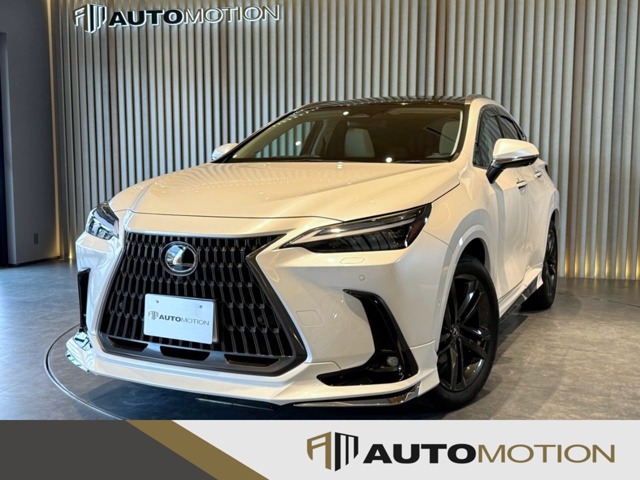 Lexus NX 1