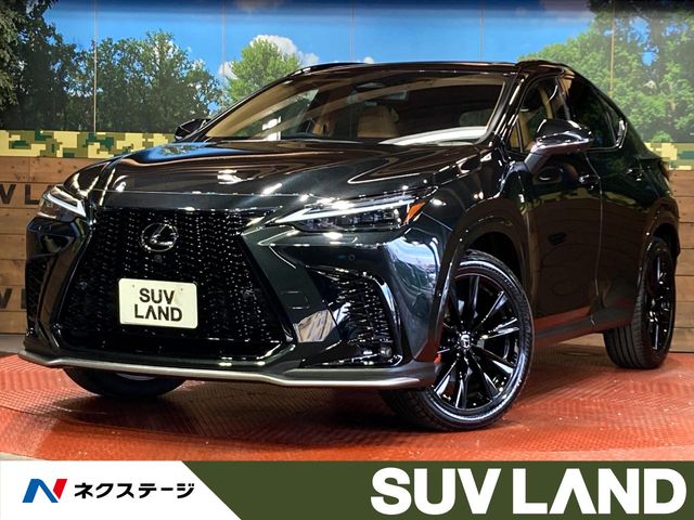 2025 Lexus NX