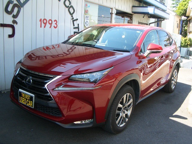 Lexus NX 1