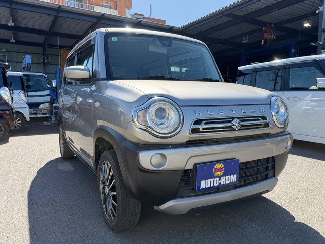 Suzuki Hustler 1