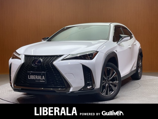 2020 Lexus UX
