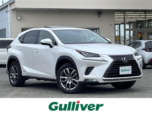 Lexus NX 1