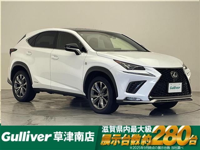 Lexus NX 1