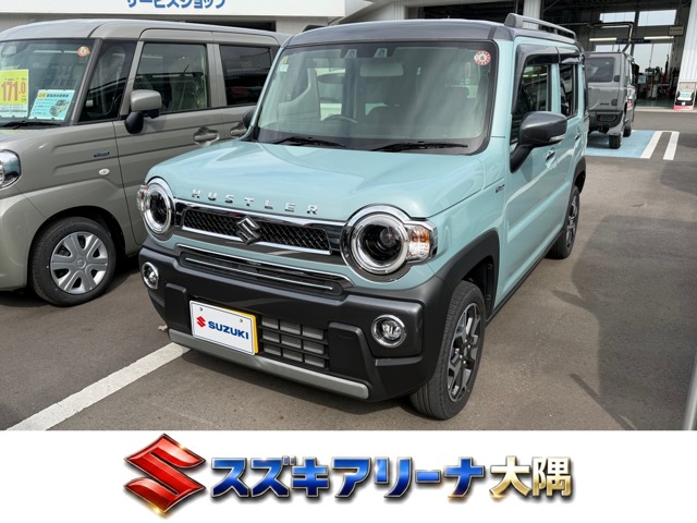 Suzuki Hustler 1