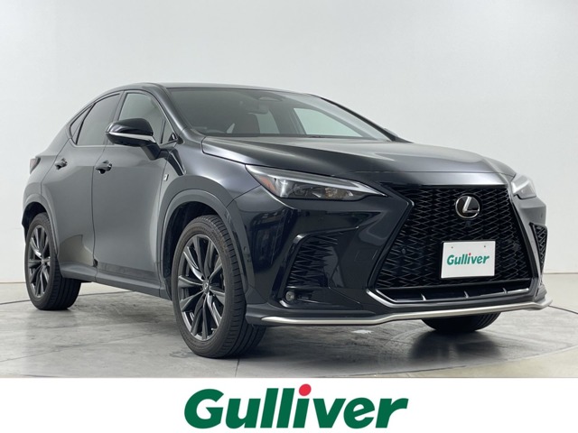 Lexus NX 1