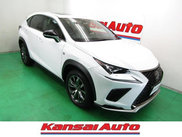 2019 Lexus NX