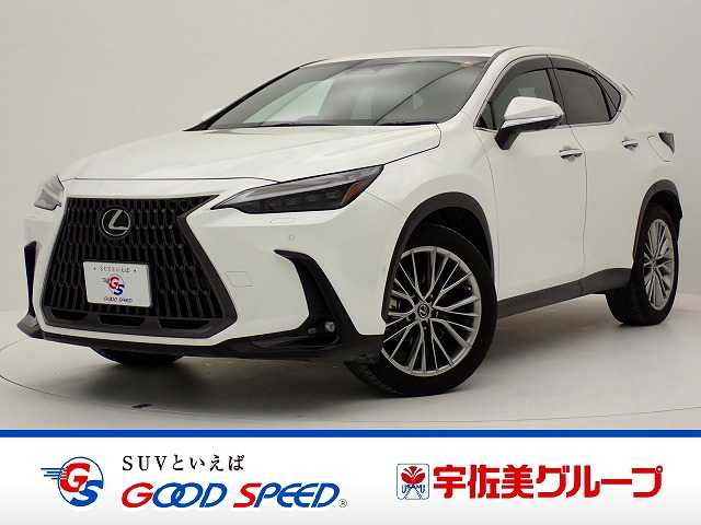 2022 Lexus NX
