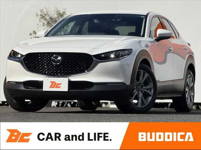 Mazda CX-30 1