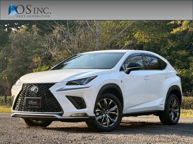 2018 Lexus NX
