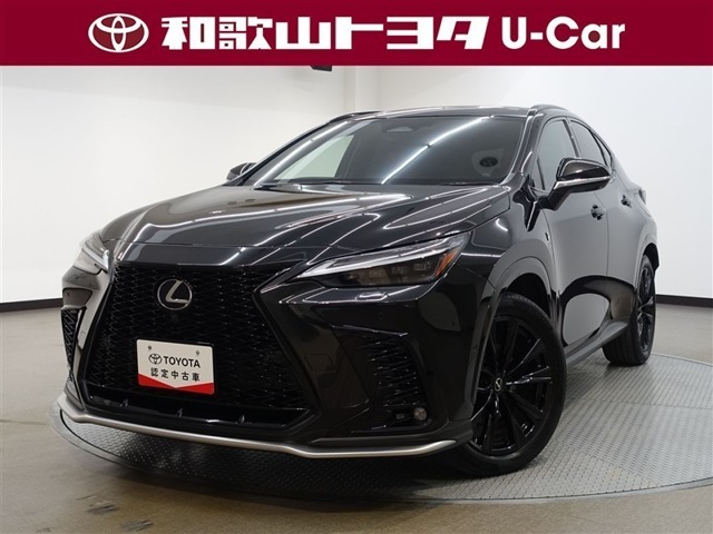 Lexus NX 1